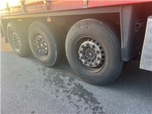 SL203099 #10 - SL203099